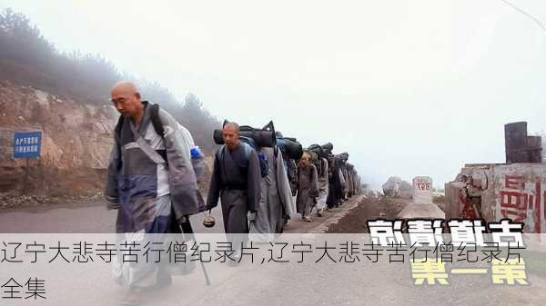 辽宁大悲寺苦行僧纪录片,辽宁大悲寺苦行僧纪录片全集