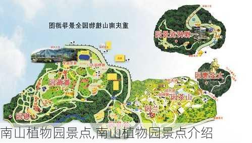 南山植物园景点,南山植物园景点介绍