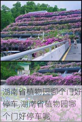 湖南省植物园哪个门好停车,湖南省植物园哪个门好停车呢