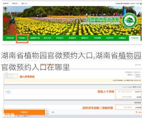 湖南省植物园官微预约入口,湖南省植物园官微预约入口在哪里