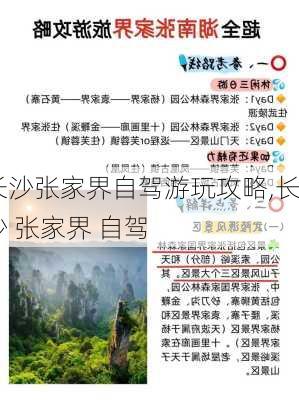 长沙张家界自驾游玩攻略,长沙 张家界 自驾