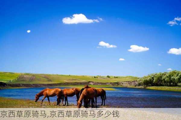 京西草原骑马,京西草原骑马多少钱