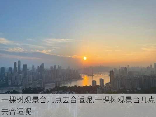 一棵树观景台几点去合适呢,一棵树观景台几点去合适呢