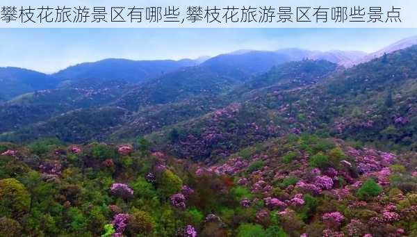 攀枝花旅游景区有哪些,攀枝花旅游景区有哪些景点