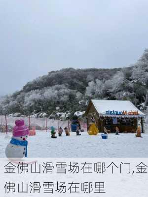 金佛山滑雪场在哪个门,金佛山滑雪场在哪里