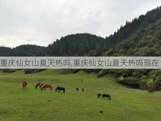 重庆仙女山夏天热吗,重庆仙女山夏天热吗现在