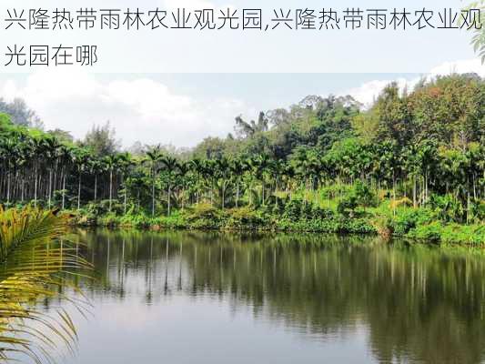 兴隆热带雨林农业观光园,兴隆热带雨林农业观光园在哪