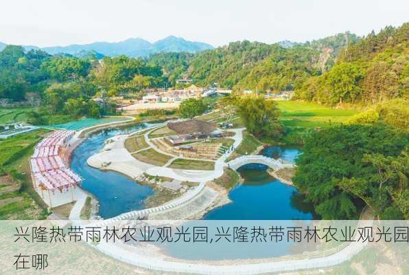 兴隆热带雨林农业观光园,兴隆热带雨林农业观光园在哪