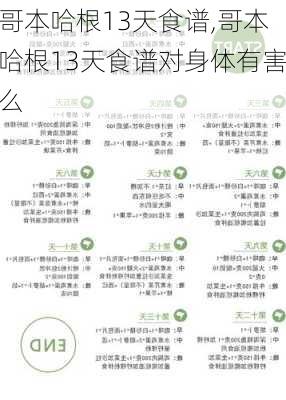 哥本哈根13天食谱,哥本哈根13天食谱对身体有害么