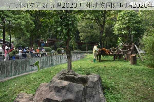 广州动物园好玩吗2020,广州动物园好玩吗2020年