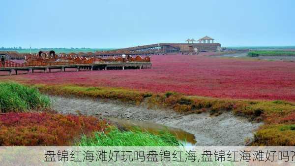 盘锦红海滩好玩吗盘锦红海,盘锦红海滩好吗?