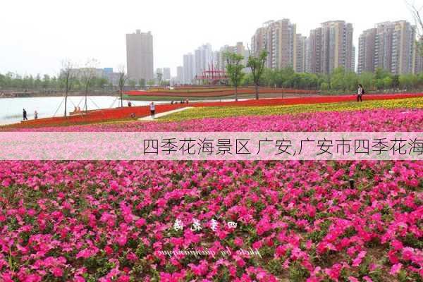 四季花海景区 广安,广安市四季花海