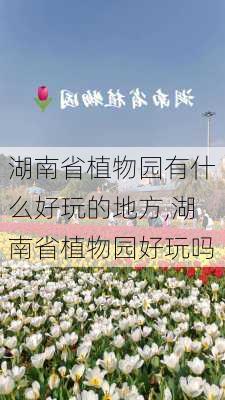 湖南省植物园有什么好玩的地方,湖南省植物园好玩吗