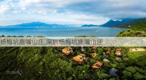 杨梅坑鹿嘴山庄,深圳杨梅坑鹿嘴山庄