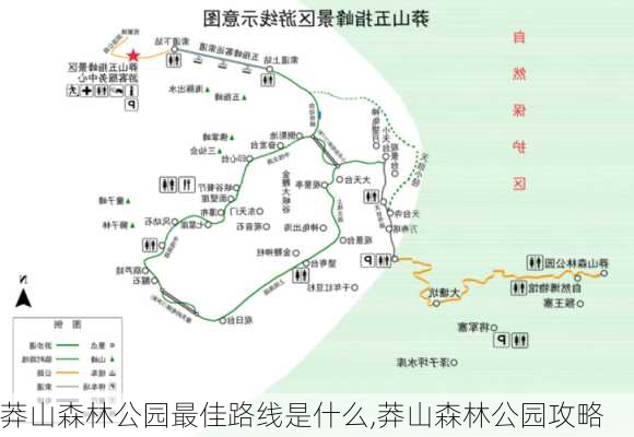 莽山森林公园最佳路线是什么,莽山森林公园攻略