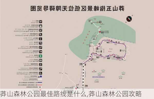 莽山森林公园最佳路线是什么,莽山森林公园攻略