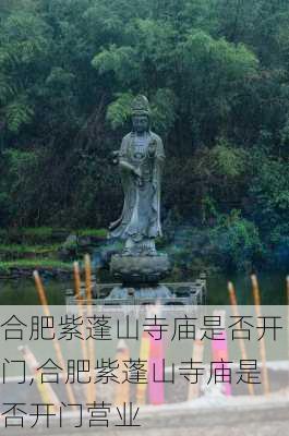 合肥紫蓬山寺庙是否开门,合肥紫蓬山寺庙是否开门营业