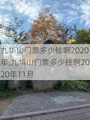 九华山门票多少钱啊2020年,九华山门票多少钱啊2020年11月