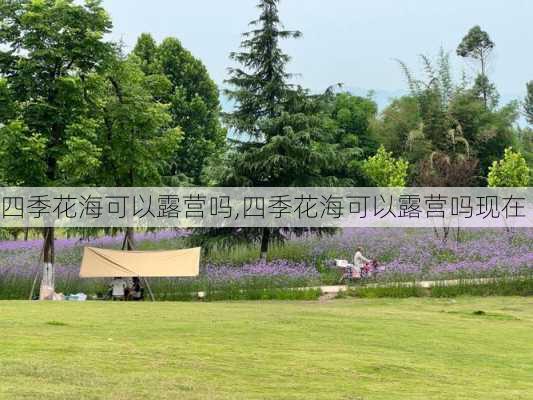 四季花海可以露营吗,四季花海可以露营吗现在