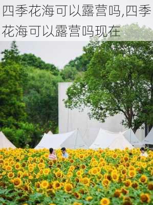 四季花海可以露营吗,四季花海可以露营吗现在