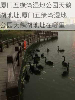 厦门五缘湾湿地公园天鹅湖地址,厦门五缘湾湿地公园天鹅湖地址在哪里