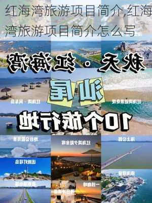 红海湾旅游项目简介,红海湾旅游项目简介怎么写