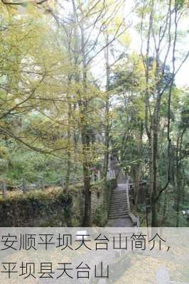 安顺平坝天台山简介,平坝县天台山