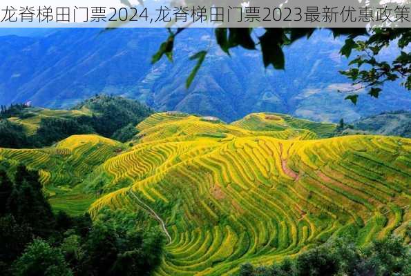 龙脊梯田门票2024,龙脊梯田门票2023最新优惠政策