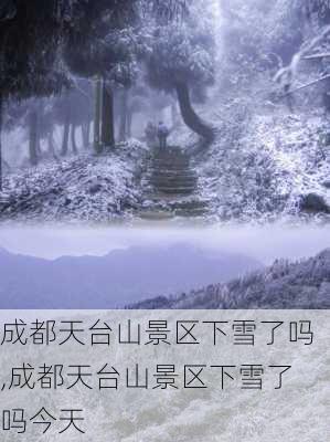 成都天台山景区下雪了吗,成都天台山景区下雪了吗今天