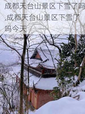 成都天台山景区下雪了吗,成都天台山景区下雪了吗今天