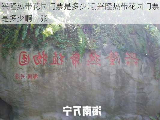 兴隆热带花园门票是多少啊,兴隆热带花园门票是多少啊一张