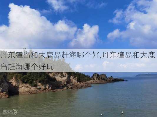 丹东獐岛和大鹿岛赶海哪个好,丹东獐岛和大鹿岛赶海哪个好玩