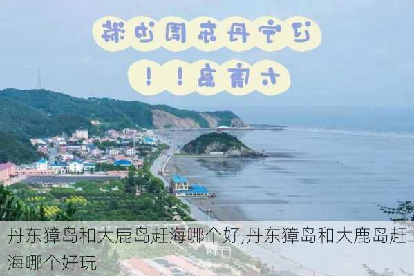 丹东獐岛和大鹿岛赶海哪个好,丹东獐岛和大鹿岛赶海哪个好玩