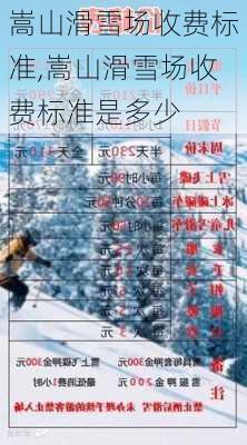 嵩山滑雪场收费标准,嵩山滑雪场收费标准是多少