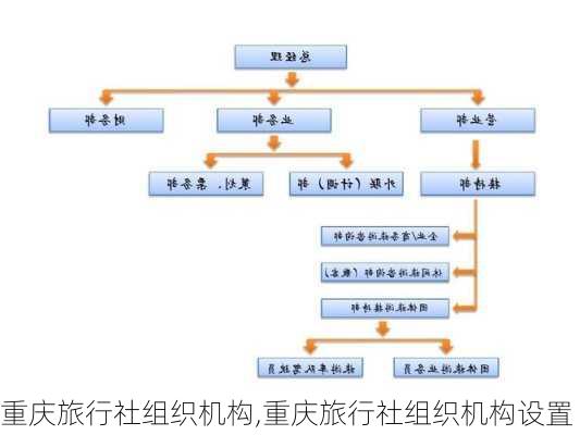 重庆旅行社组织机构,重庆旅行社组织机构设置