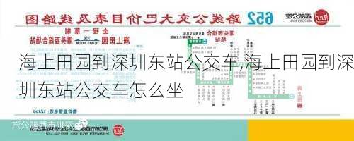 海上田园到深圳东站公交车,海上田园到深圳东站公交车怎么坐