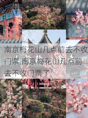 南京梅花山几点前去不收门票,南京梅花山几点前去不收门票了