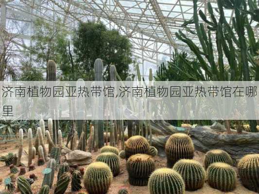 济南植物园亚热带馆,济南植物园亚热带馆在哪里