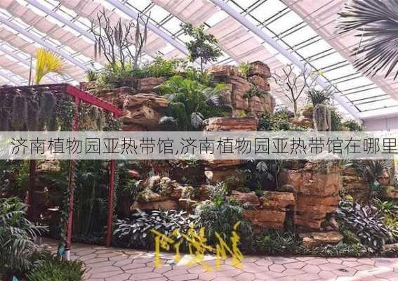 济南植物园亚热带馆,济南植物园亚热带馆在哪里