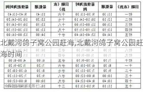 北戴河鸽子窝公园赶海,北戴河鸽子窝公园赶海时间