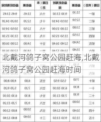 北戴河鸽子窝公园赶海,北戴河鸽子窝公园赶海时间