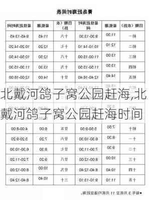 北戴河鸽子窝公园赶海,北戴河鸽子窝公园赶海时间