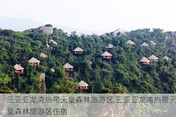 三亚亚龙湾热带天堂森林旅游区,三亚亚龙湾热带天堂森林旅游区住宿