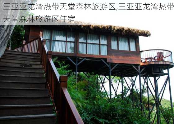 三亚亚龙湾热带天堂森林旅游区,三亚亚龙湾热带天堂森林旅游区住宿