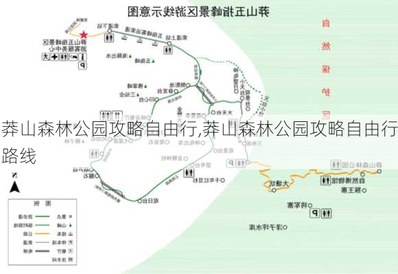 莽山森林公园攻略自由行,莽山森林公园攻略自由行路线