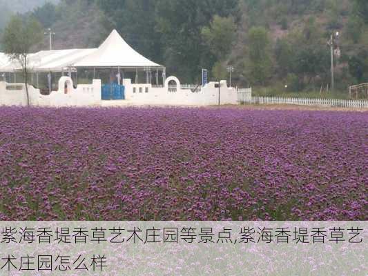 紫海香堤香草艺术庄园等景点,紫海香堤香草艺术庄园怎么样