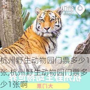 杭州野生动物园门票多少1张,杭州野生动物园门票多少1张啊