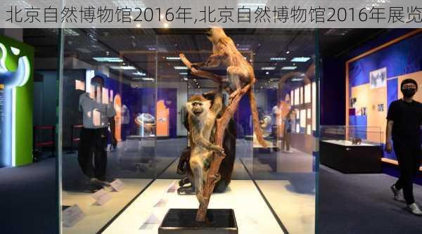 北京自然博物馆2016年,北京自然博物馆2016年展览