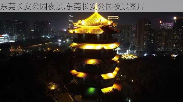 东莞长安公园夜景,东莞长安公园夜景图片