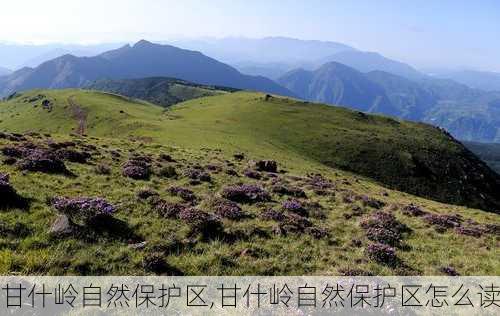 甘什岭自然保护区,甘什岭自然保护区怎么读